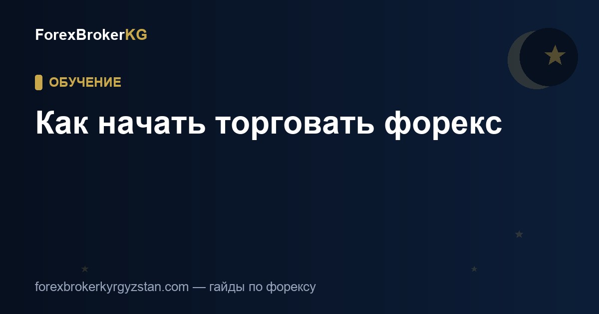 Как начать торговать форекс — гайд для новичков